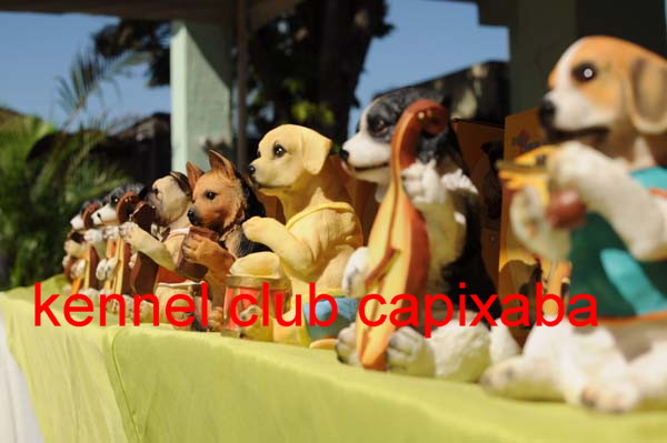 Clique sobre a foto para fechar